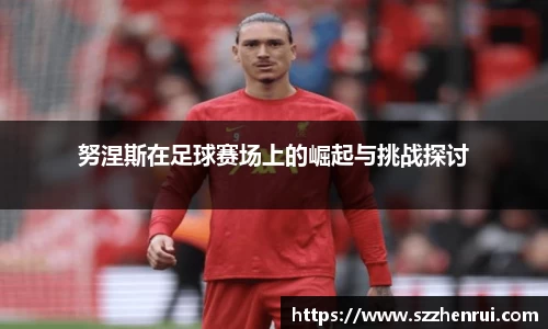 努涅斯在足球赛场上的崛起与挑战探讨